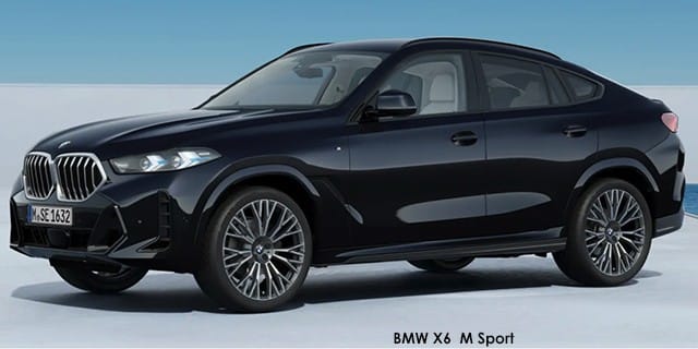 BMW X6