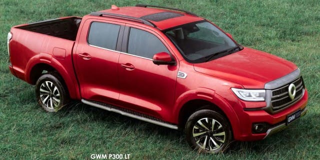 GWM P300 photo 3
