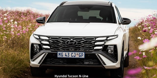 Hyundai Tucson R2.0D N-Line AWD Auto photo 5