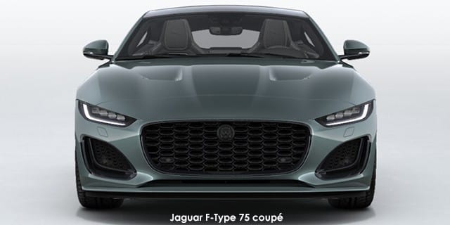 Jaguar F-Type photo 2