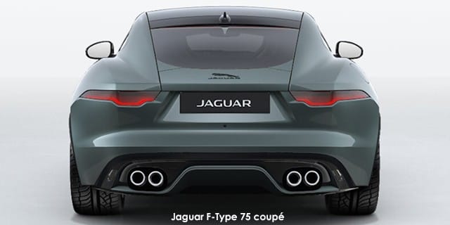Jaguar F-Type photo 4