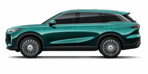 TIGGO 9