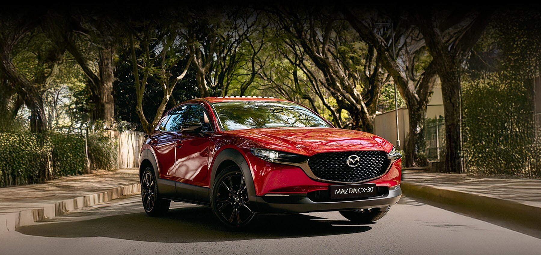 MAZDA CX-30 2.0 INDIVIDUAL A/T Banner Image